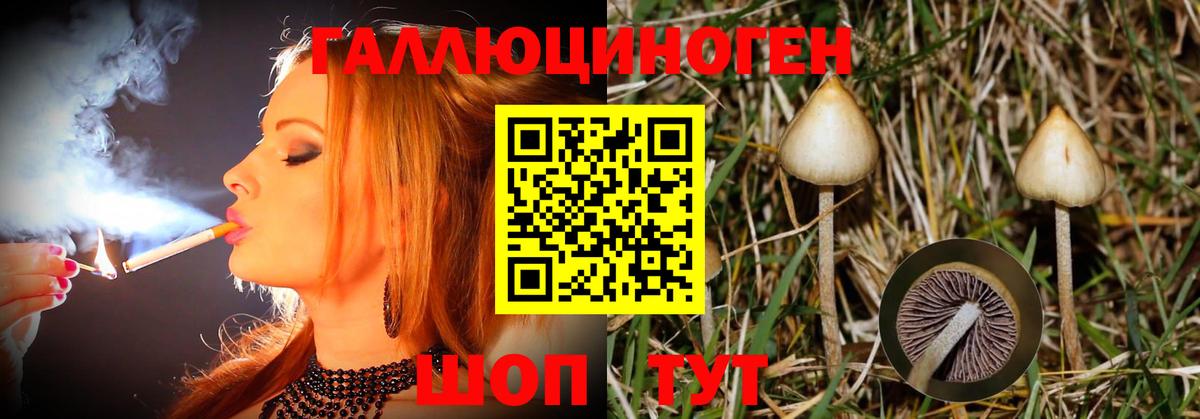 Кириши  Вход с VPN  ГАШ  Меф МЯУ МЯУ   COCAIN  Мефедрон  НБОМе  Марихуана  Героин 