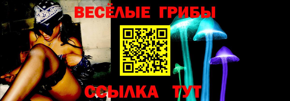 Псилоцибиновые грибы MAGIC MUSHROOMS Кириши