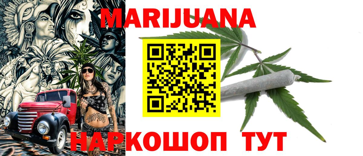Конопля сатива Кириши